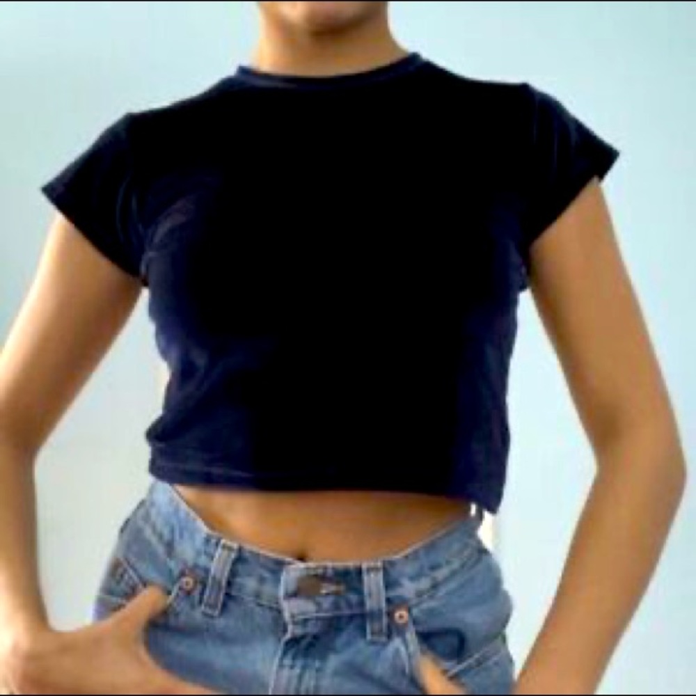 Brandy Melville Cropped Velvet Tee